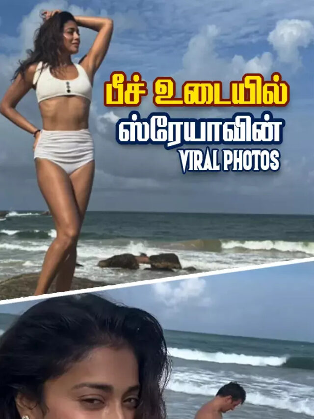 நீச்சல் உடையில் கணவருடன் கடலில் ஸ்ரேயா… வைரல் போட்டோ!